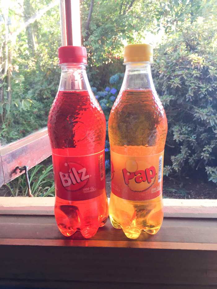 bilz y pap chilean sodas