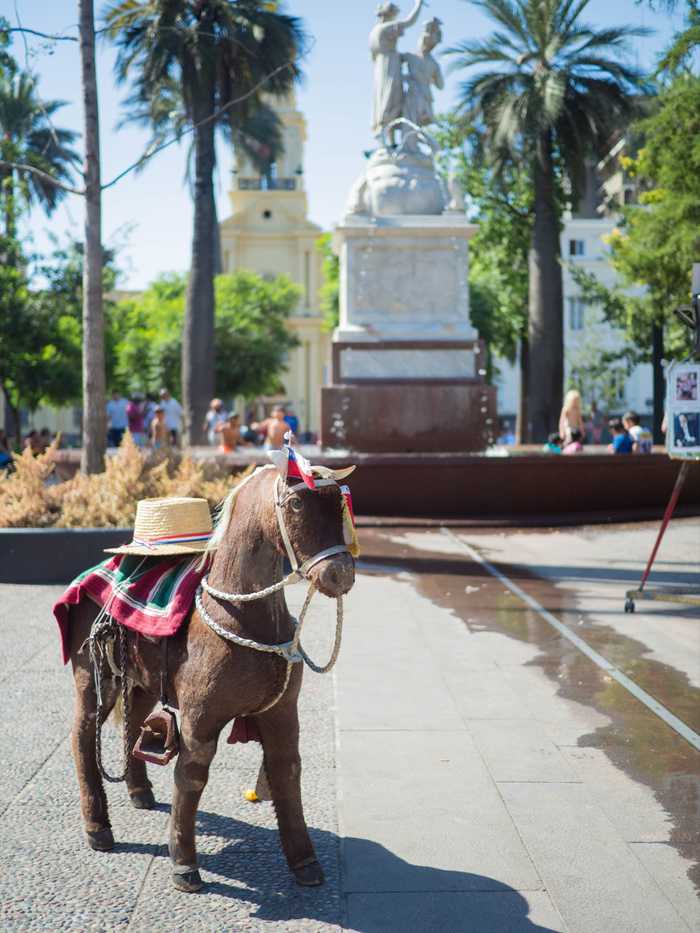 Chilean horse, Gabe said this has been around since he went to Chile when he was a kid.