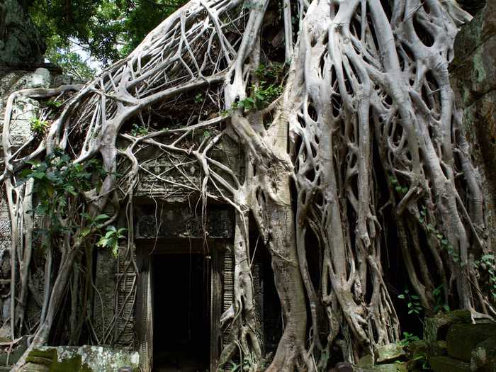 Secret doorway at Ta Prohm