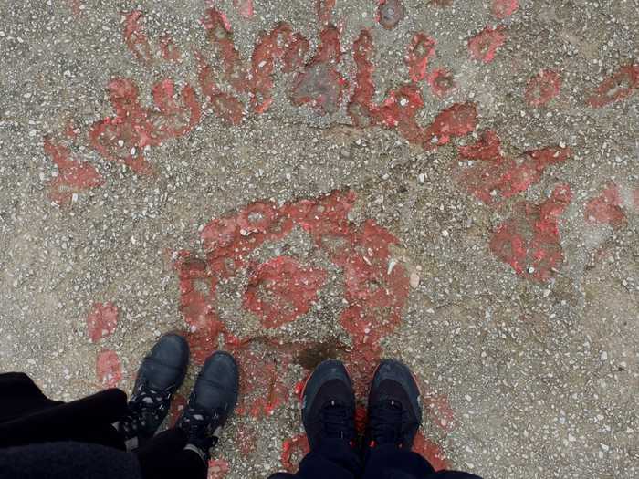 A Sarajevo Rose comemorates those killed by a bomb that fell here.