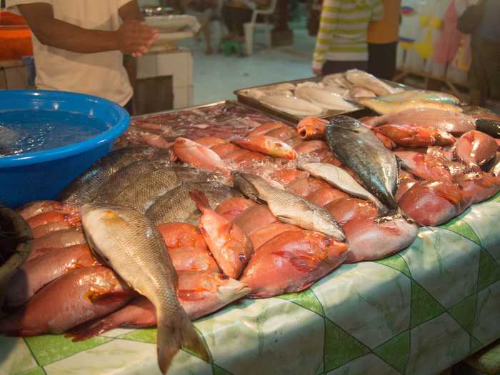 Freshly caught red snapper