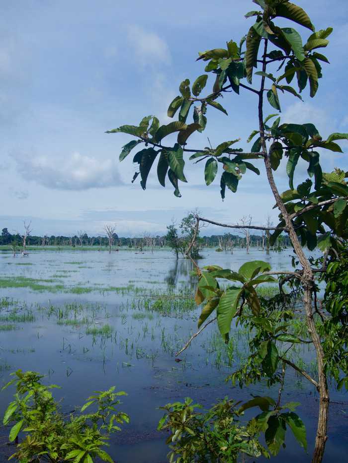 Lake surrounding Neak Pean