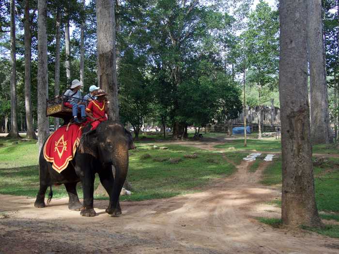 Elephant rides are available to tourists