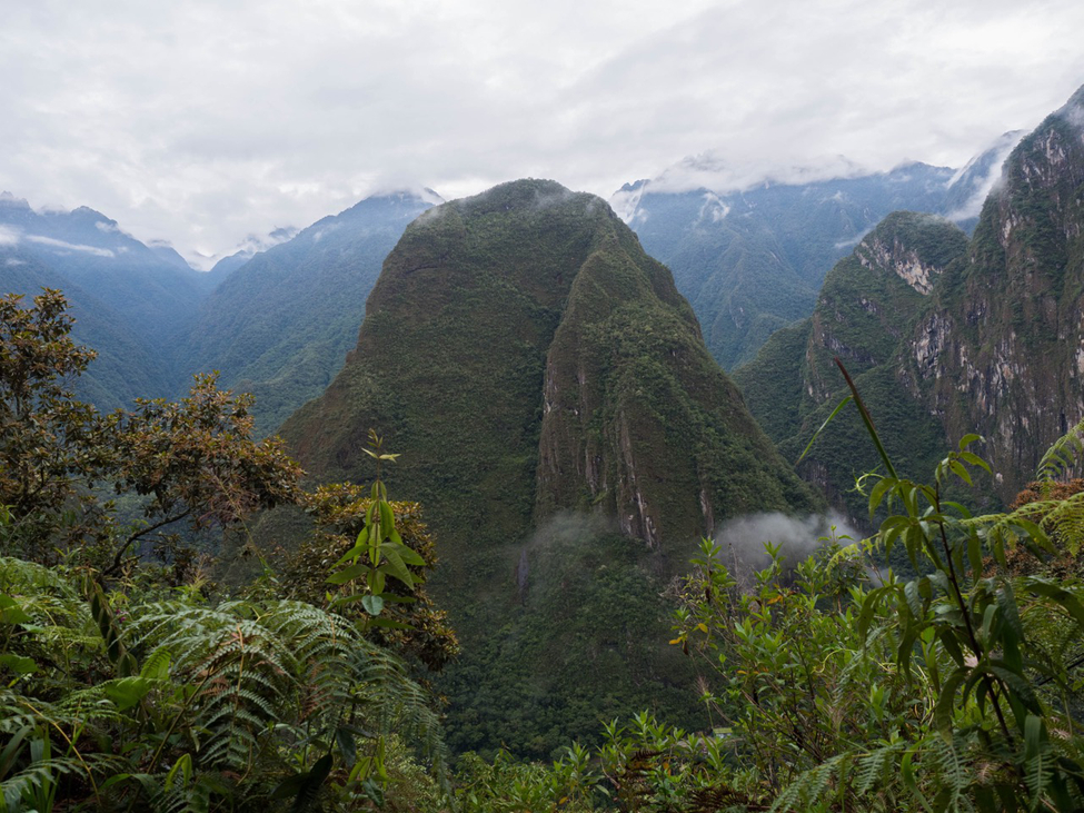 Hiking to Machu Picchu
