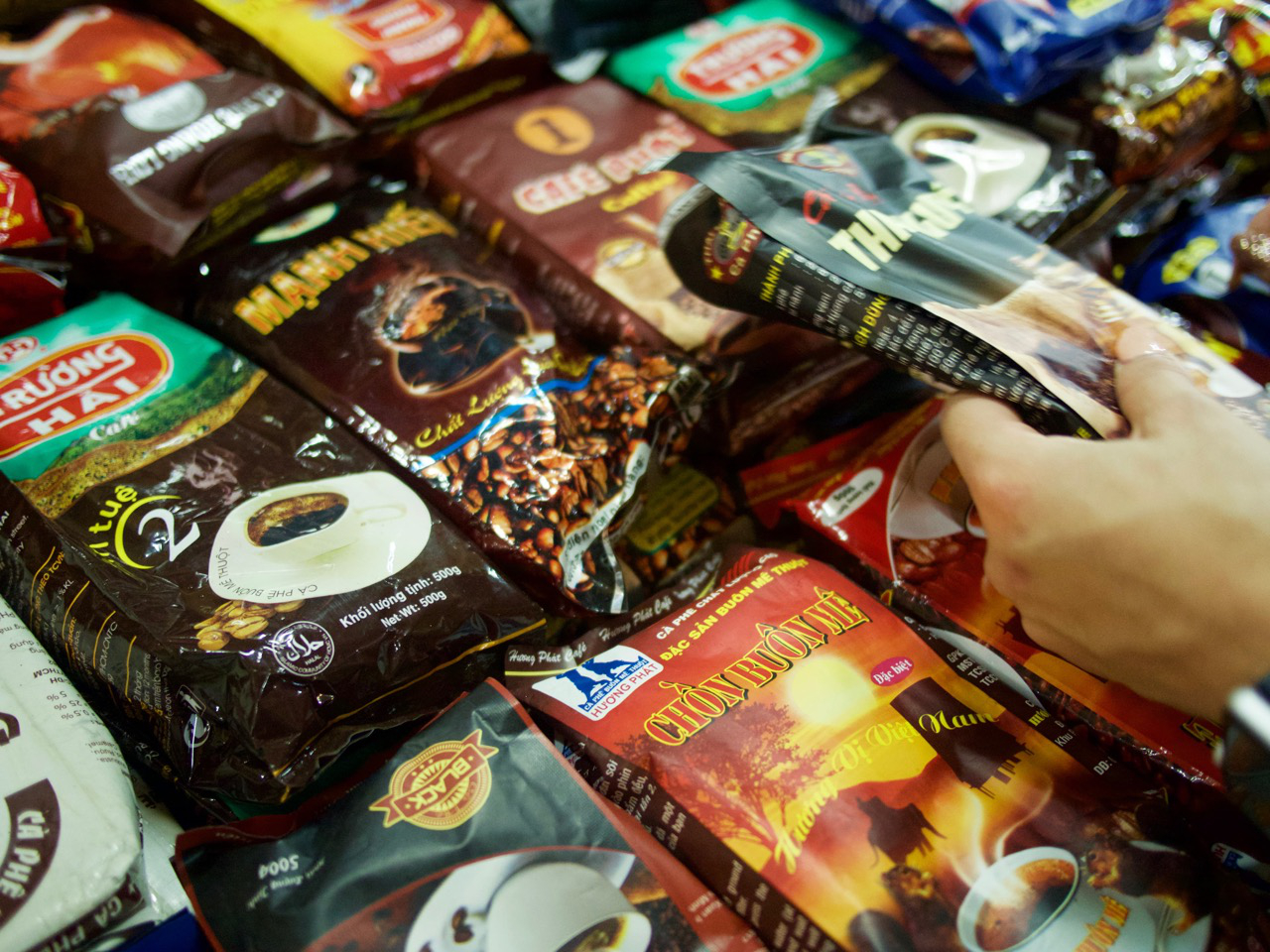 Our Top 5 Coffee Shops in Cambodia