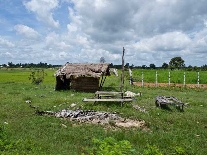 cambodia siemreap country ricepaddies
