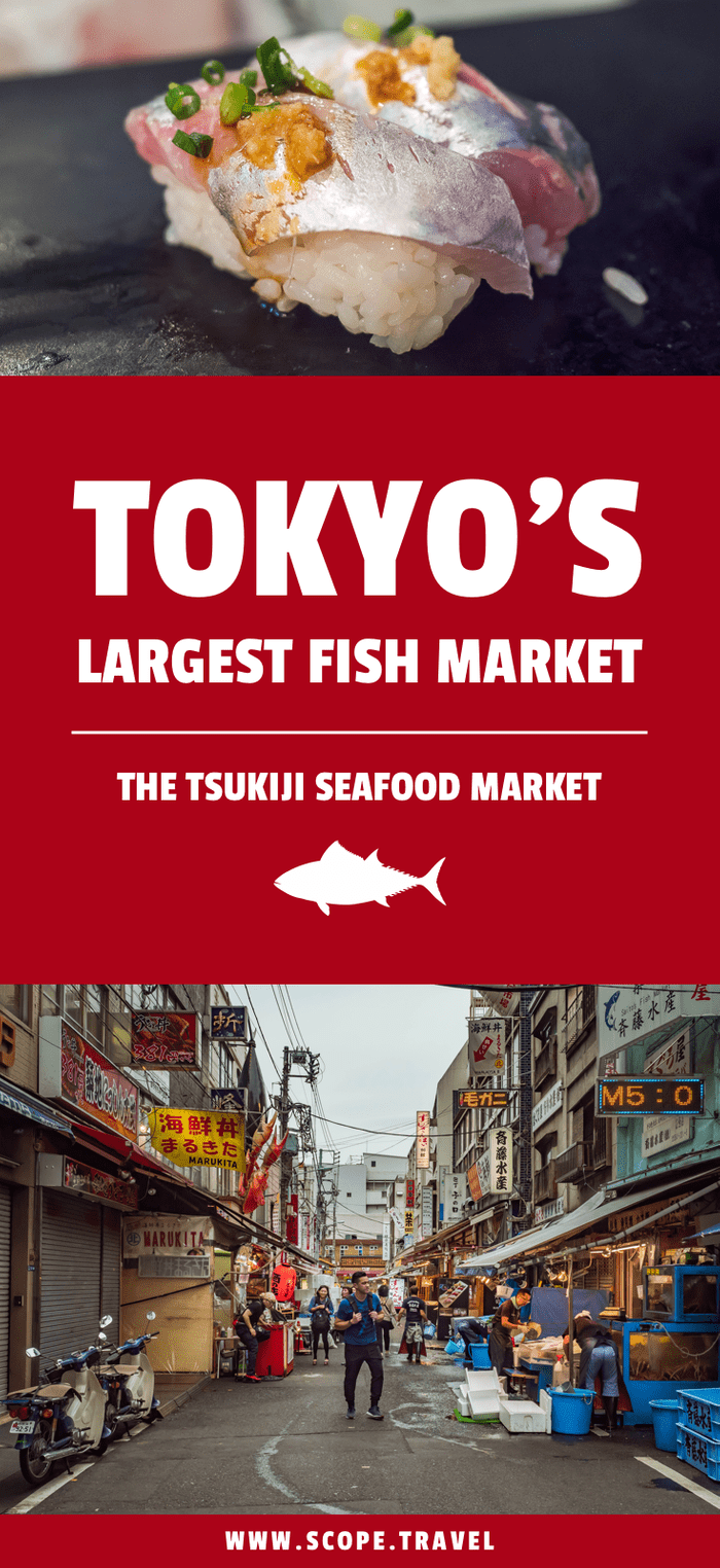 Pinterest tsukiji market
