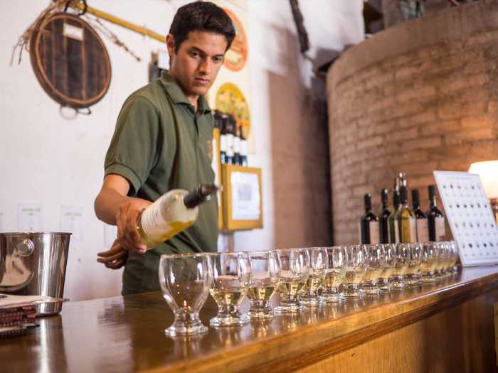 argentina mendoza maipu valley wine vineyard bike ride familia di tommaso