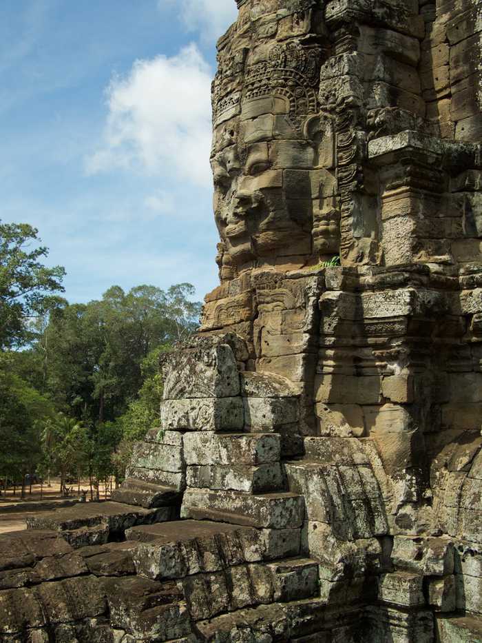 Profile of one of the faces