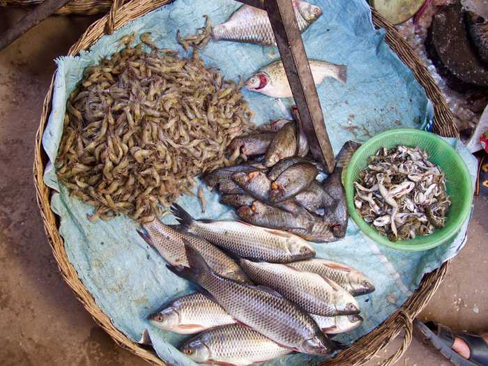 cambodia market meat raw siemreap phsarleau